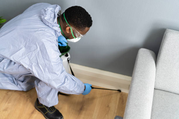 Emergency Pest Control Services in Flordell Hills, MO